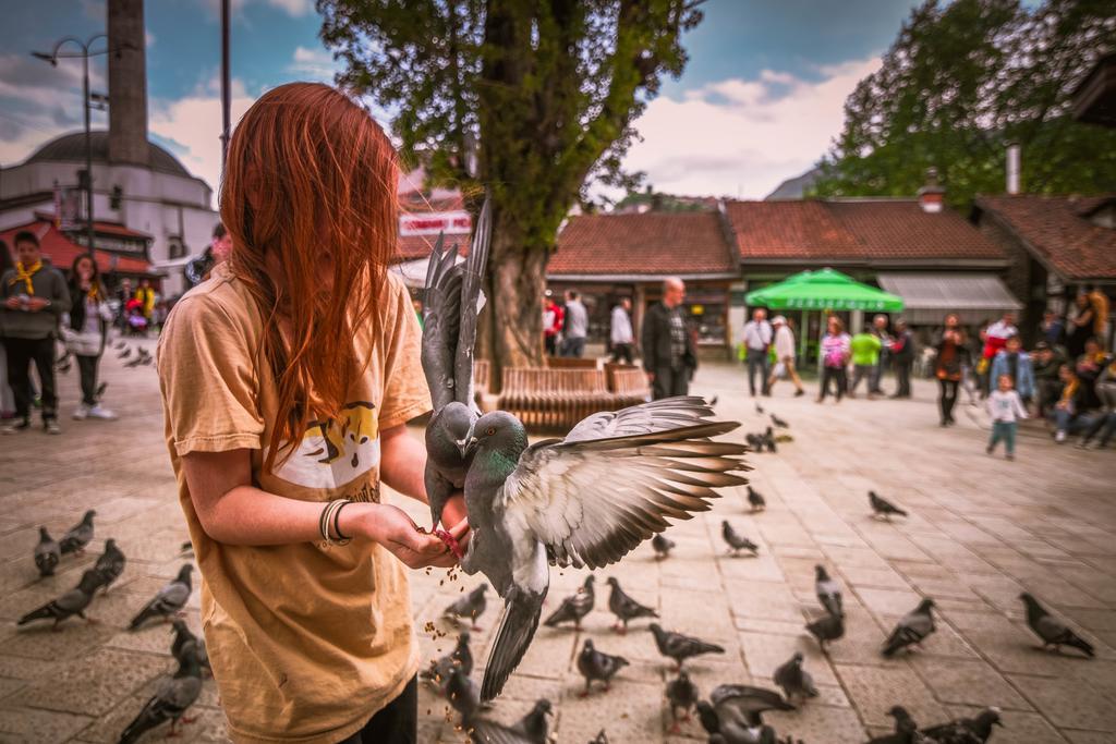 Alen Apartment Old Town - Free Parking Sarajevo Ngoại thất bức ảnh